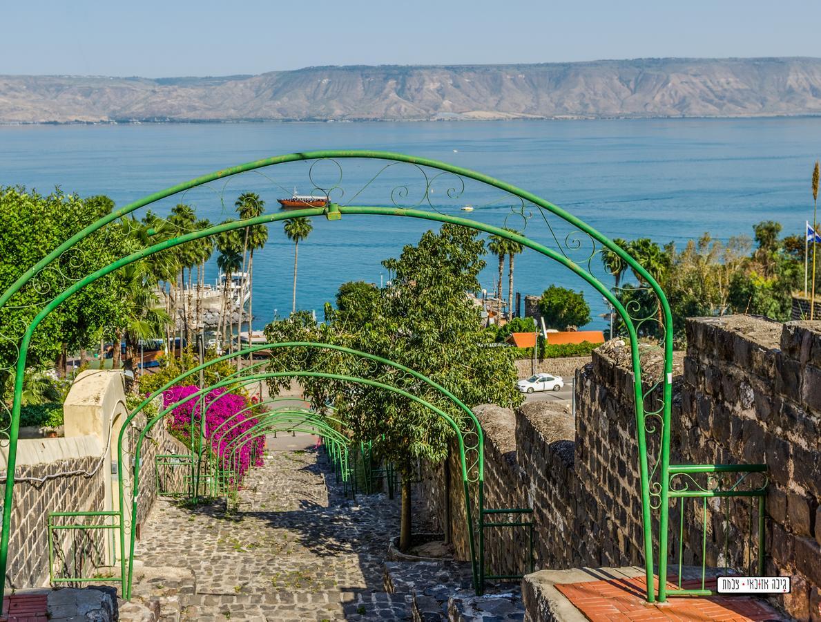 Villa Alliance Tiberias Exterior photo
